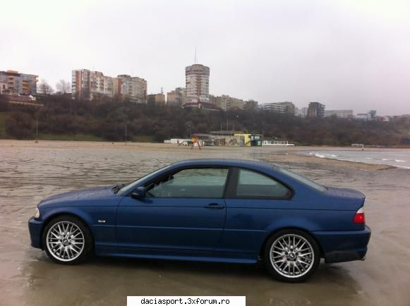 the dolphin e46 330