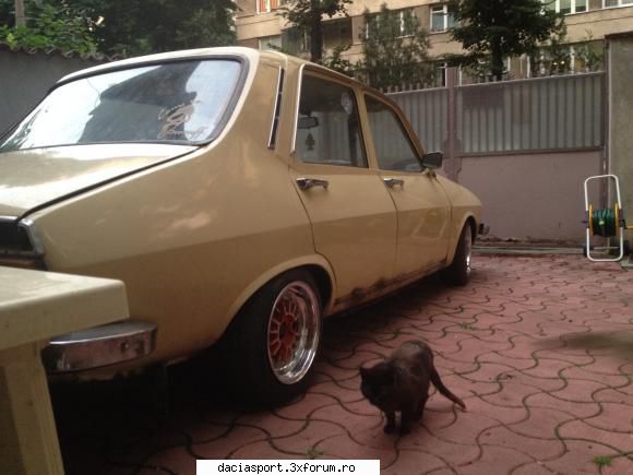 Dacia 1310 - este ulei, nu rugina - Dacia model clasic