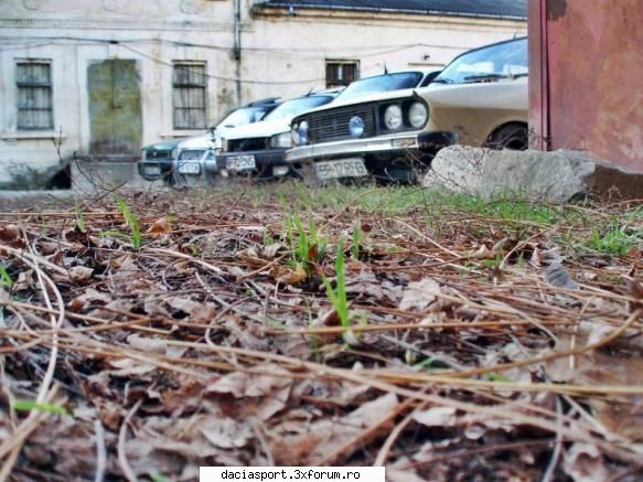 Dacia Sport BR 10 TCM - BR-10-TCM - Dacia Sport tuning