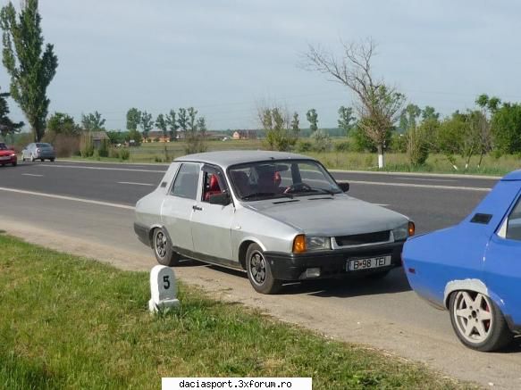 Dacia Tei - cap de colaoana - Dacia model clasic