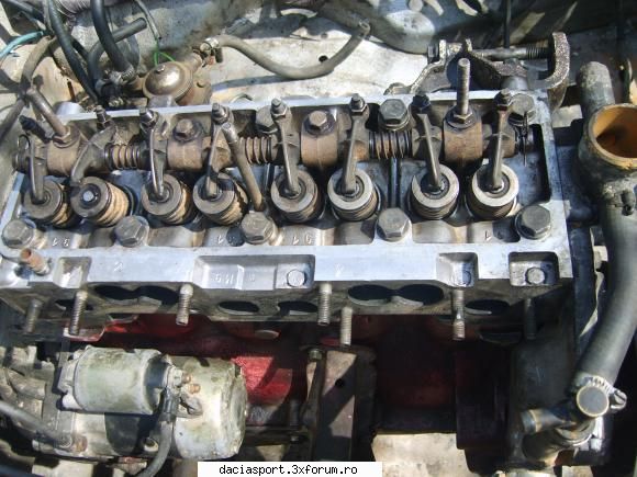 Dacia sport "flacarica" BR.88.AXY - chiuloasa ce asetapta sa intre in miscare - Dacia Sport tuning