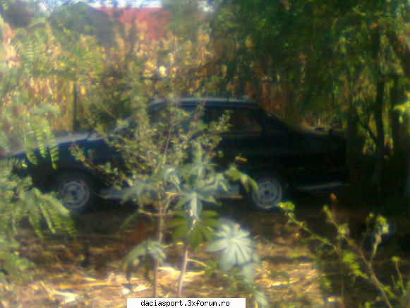sportiva de vanzare. - br 06 eva - Autoturisme